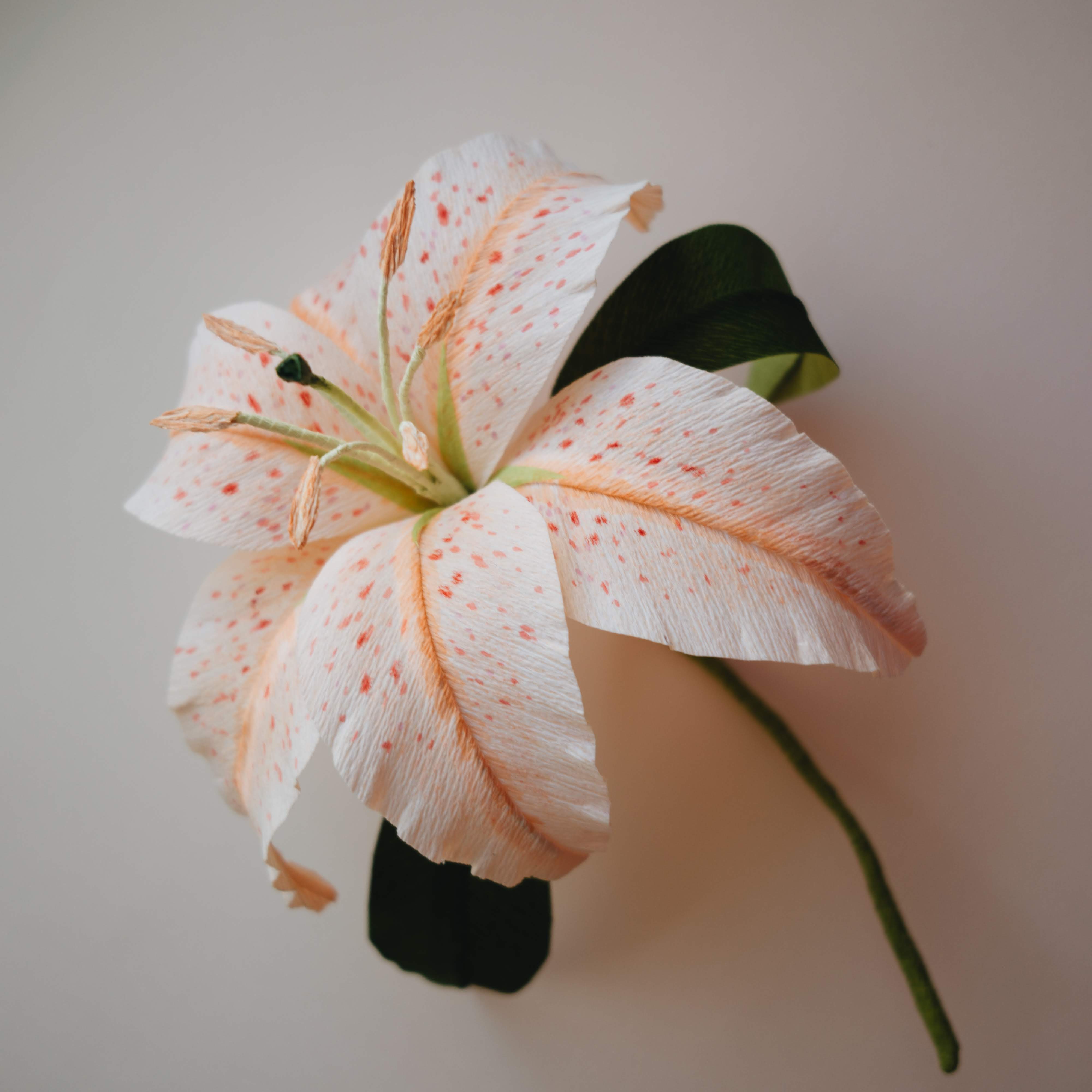 Nobody Likes Perfect Art With Yang Liu