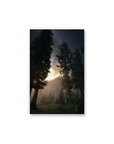 Towering Trees Classic Layflat Notebook