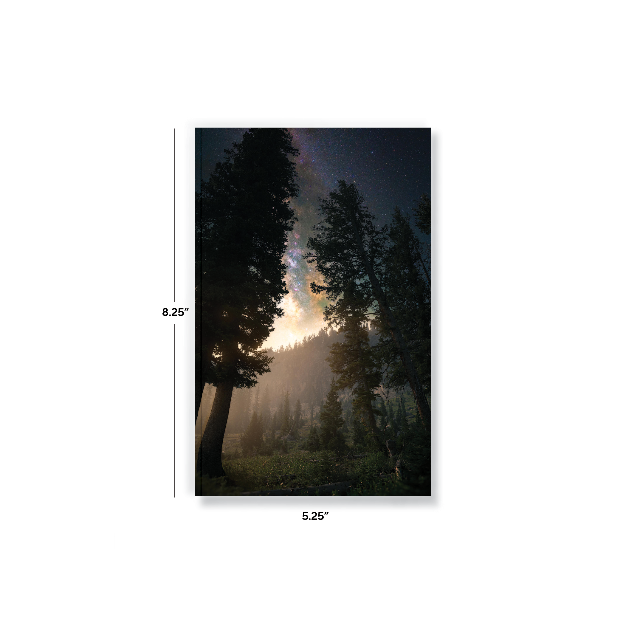 Towering Trees Classic Layflat Notebook