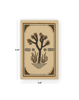 Desert Sunrise Classic Layflat Notebook