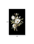 Magnolia Notebook