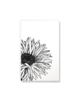 Daisy Notebook