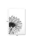 Daisy Notebook