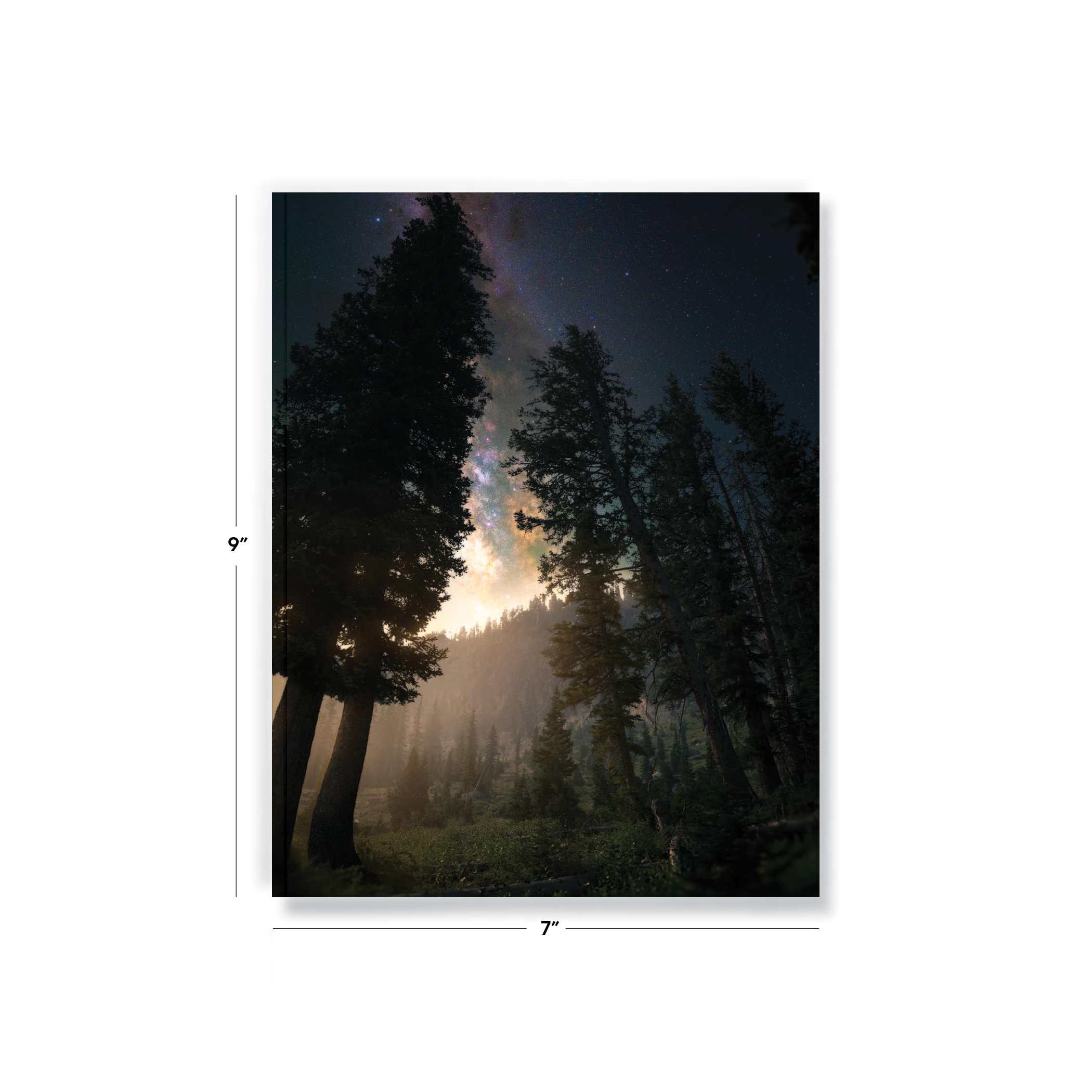 Towering Trees Medium Layflat Notebook