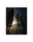 Towering Trees Medium Layflat Notebook