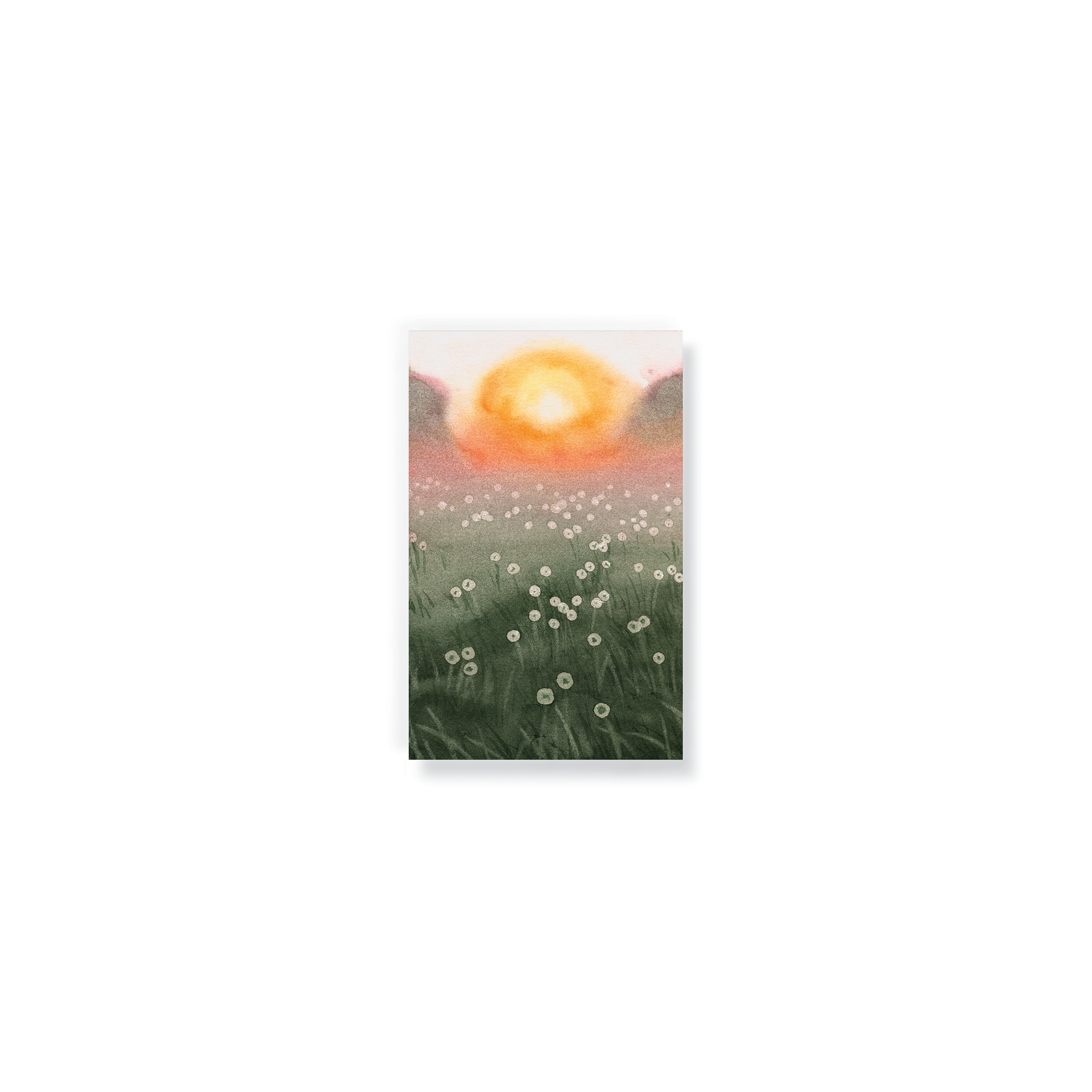 Dewy Morning Pocket Notebook