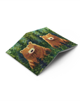 Brown Bear Pocket Notebook